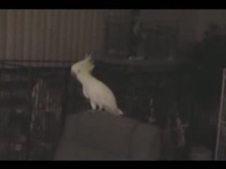 Musik