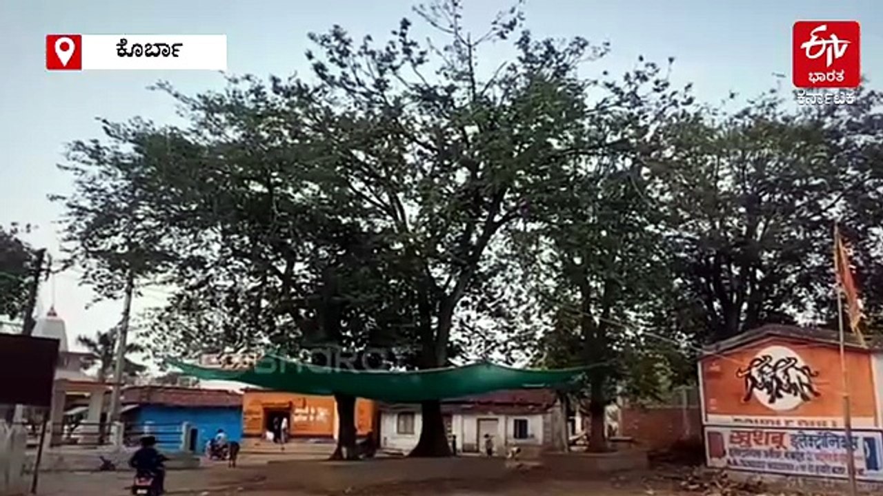 ಮಾನ್ಸೂನ್​​ ಭವಿಷ್ಯ ಹೊತ್ತು ತರುವ ಪ್ರವಾಸಿ ಪಕ್ಷಿಗಳು: ಜೂನ್‌ನಲ್ಲಿ ಕೊರ್ಬಾಕ್ಕೆ ಆಗಮನ: ಅಕ್ಟೋಬರ್ - ನವೆಂಬರ್‌ನಲ್ಲಿ ಮಕ್ಕಳೊಂದಿಗೆ ವಾಪಸ್