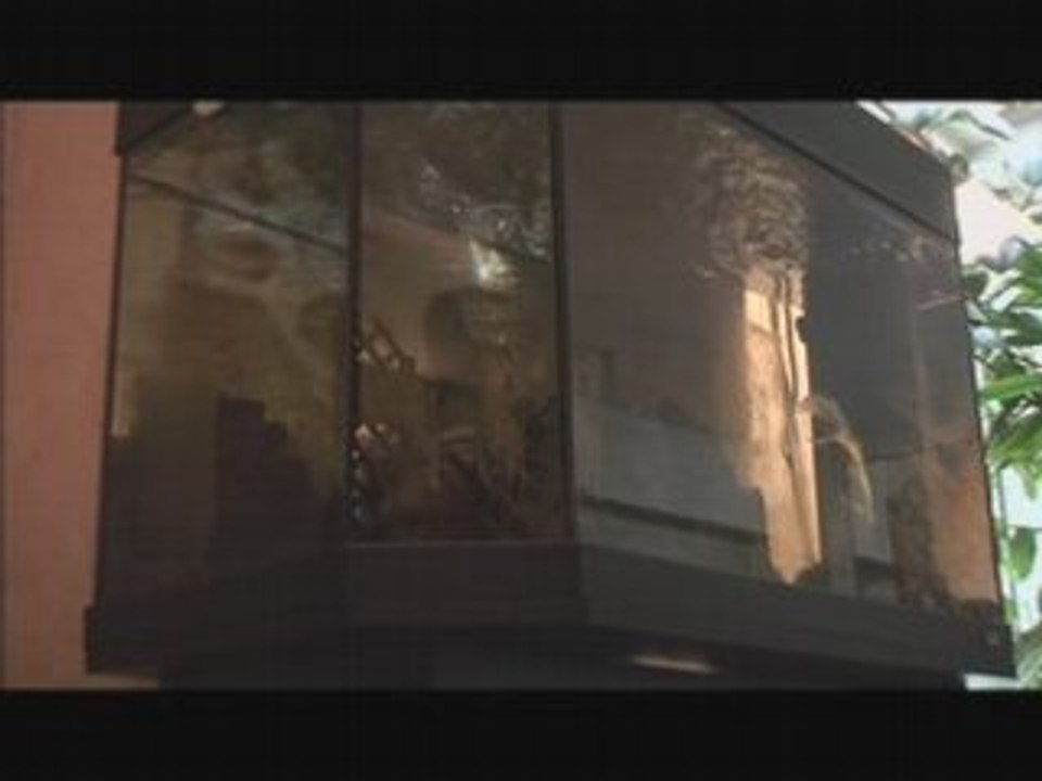 Le samouraï et le poisson rouge