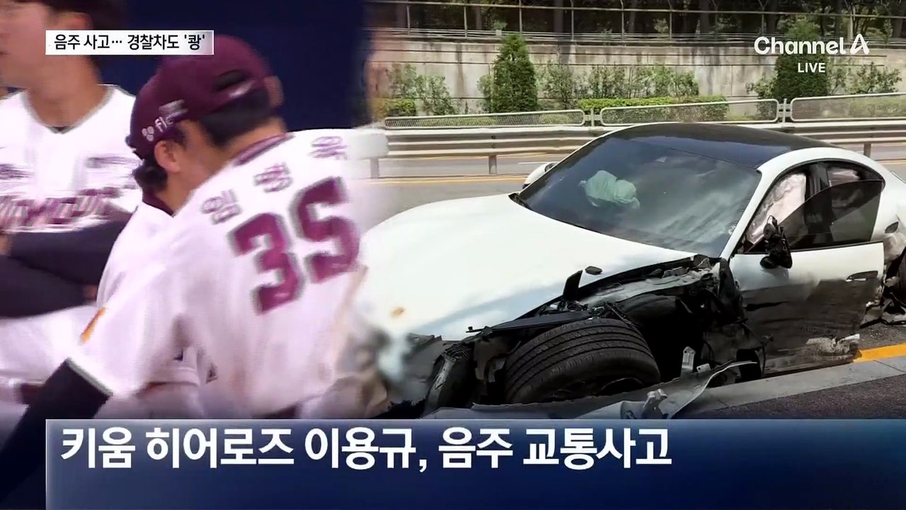 키움 이용규 음주운전 사고…결국 불명예 은퇴