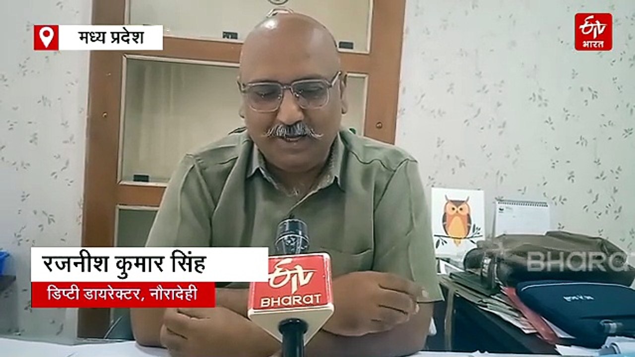 इस पक्षी की बुलंद आवाज ने बना दिया जंगल कोतवाल, पंख बदलते हैं पल-पल रंग