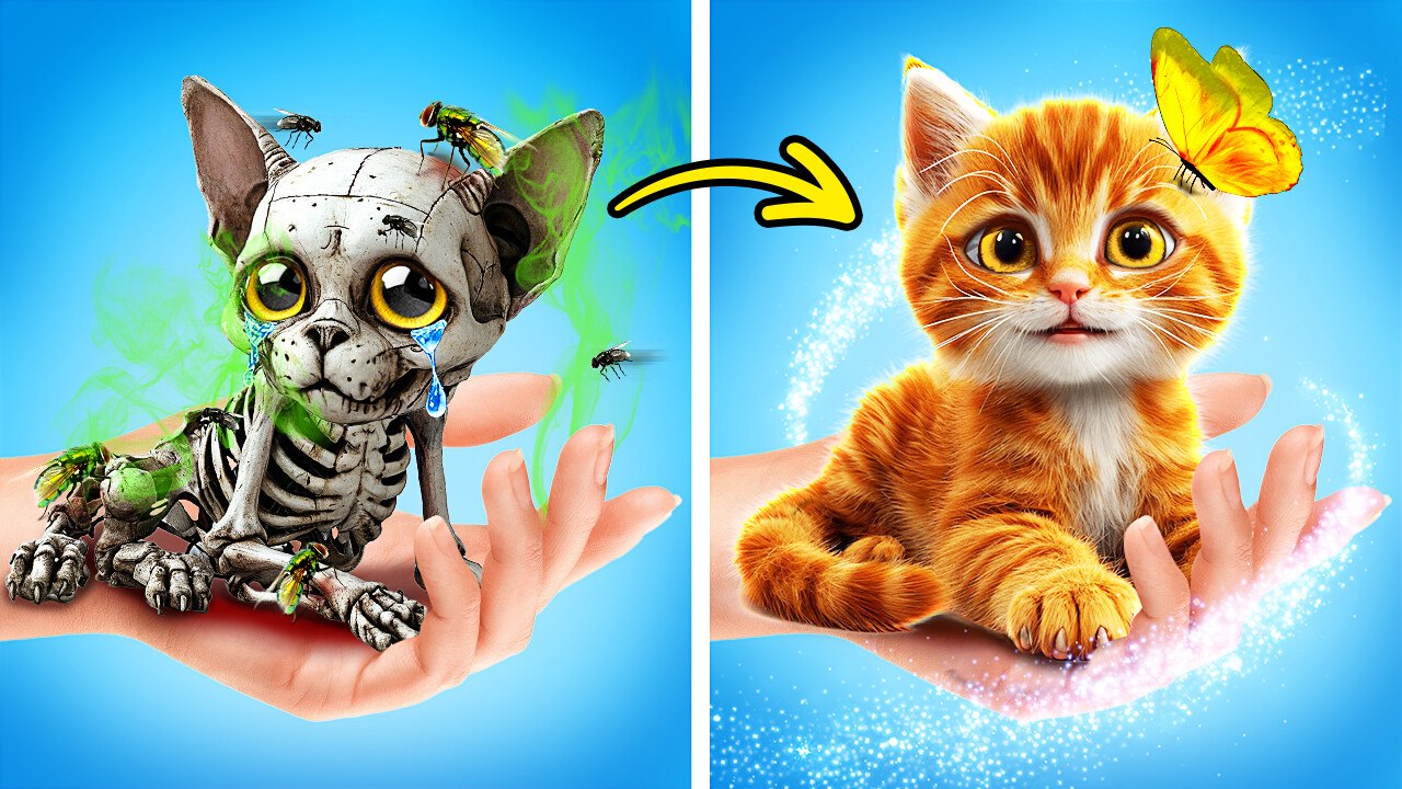Crafting with Cats: Fun Hacks for Creative Minds