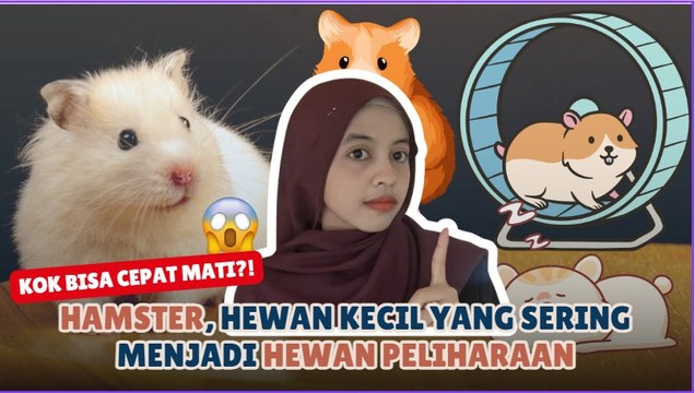 Kenapa Hamster Mudah Mati? Ini Penyebab dan Cara Merawatnya dengan Benar-Serius ini Hewan?