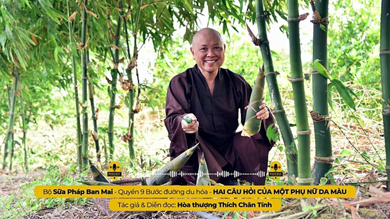 (Q9) Bài 245 I HAI CÂU HỎI CỦA MỘT PHỤ NỮ DA MÀU I Tác giả & Diễn đọc - Hòa thượng THÍCH CHÂN TÍNH
