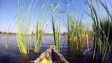 Jour 309 - Botswana HD