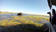 Jour 311 - Botswana HD
