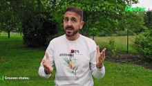La météo de Farid du 13 juin