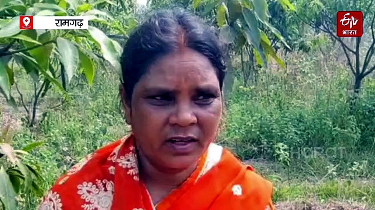 रामगढ़ के आम की मिठास विदेशों तक पहुंची, दुबई के बाद यूके भेजी गई 2 टन की खेप, स्थानीय किसानों में उत्साह