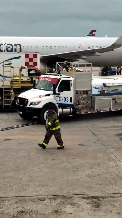 🐝✈️ Un essaim d’abeilles immobilise un avion de ligne à Cancún 😳🚨