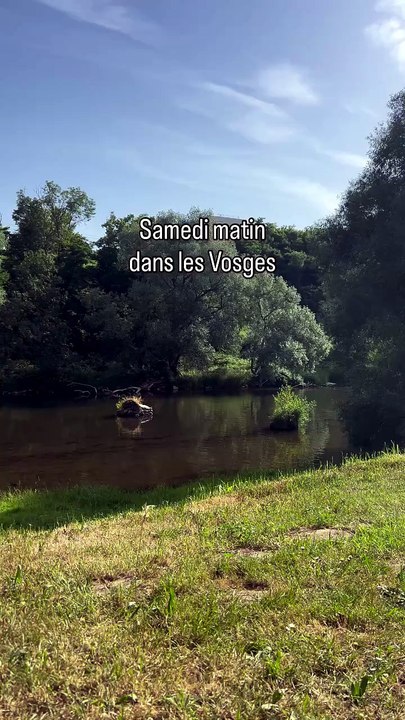 30-05-2026 Samedi matin dans les Vosges. 💚 #charmes #nature #vosges.mp4