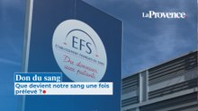 Don du sang : que devient notre sang une fois prélevé ?