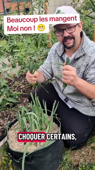 Feuilles de Poireaux : Beaucoup les mangent : Moi non ! #potager #jardinage #poireau #paillage  #com