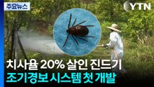 치사율 20% 살인 진드기...조기경보 시스템 첫 개발 / YTN