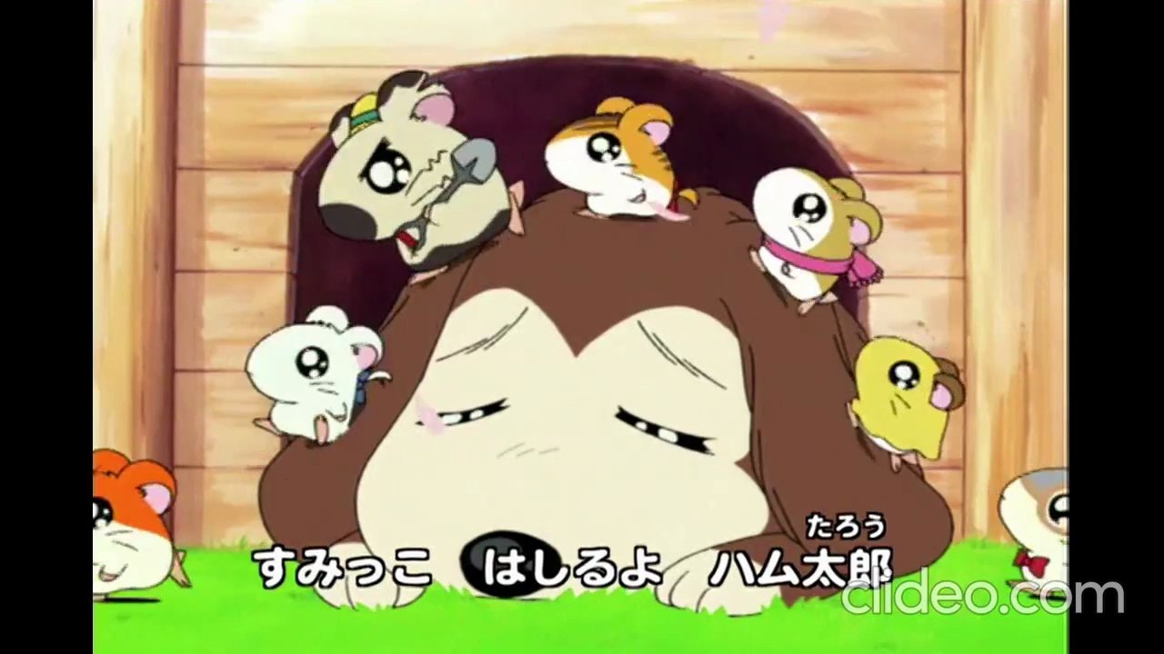 Hamtaro (Deutsch) - S01E024 Komm zurück, kleiner Hamtaro!