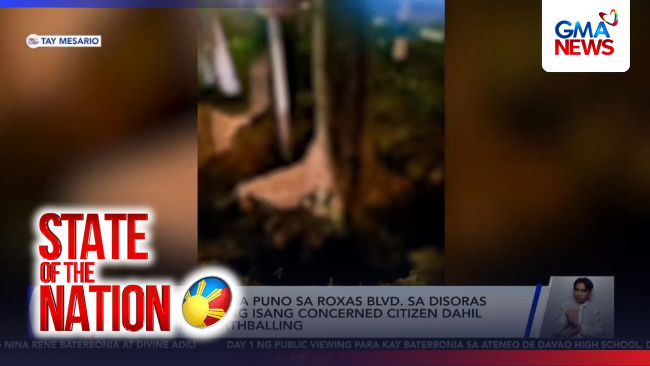 Pagbunot sa mga puno sa Roxas BLVD. sa disoras ng gabi, sinita ng isang concerned citizen | SONA
