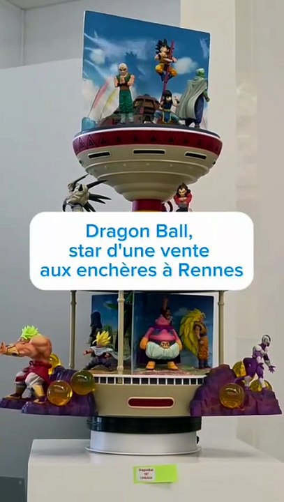 Une vente aux enchères Dragon Ball