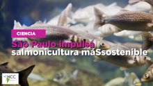 São Paulo impulsa salmonicultura más sostenible