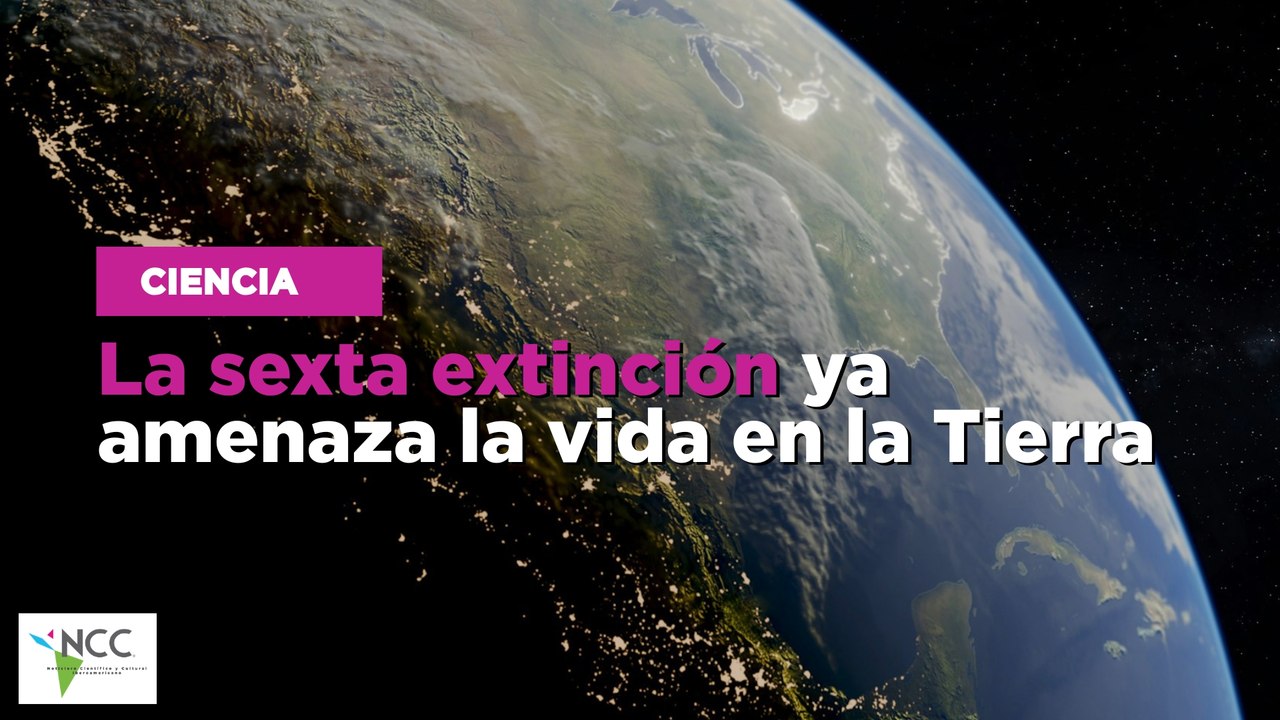 La sexta extinción ya amenaza la vida en la Tierra