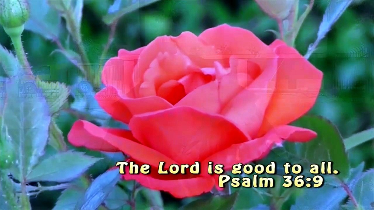 The Power Of Planting Truth Every Day, Everywhere