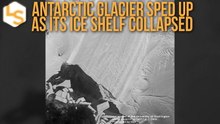 Antarctic Glacier Sped-Up As Its Ice Shelf Caved-In