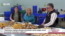 Topraktan Sofraya - Tekirdağ - Muğla | 14 Haziran 2026
