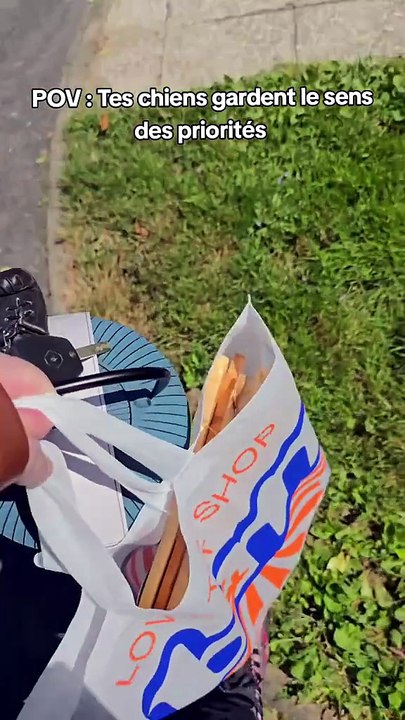 Quand tes chiens gardent le sens des priorités