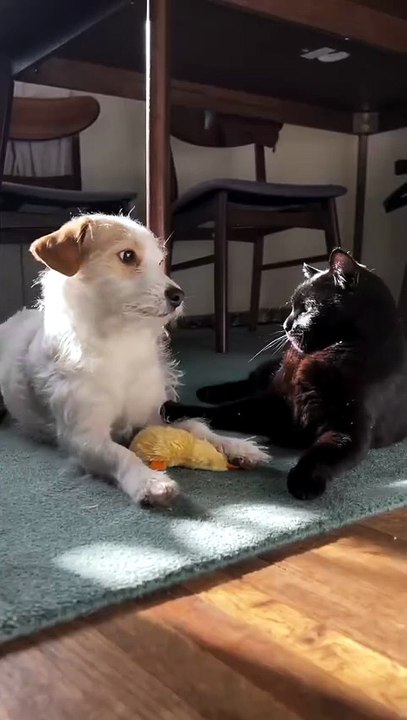 that adorable side eye