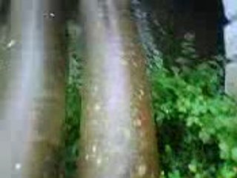 En allant a leclerc...