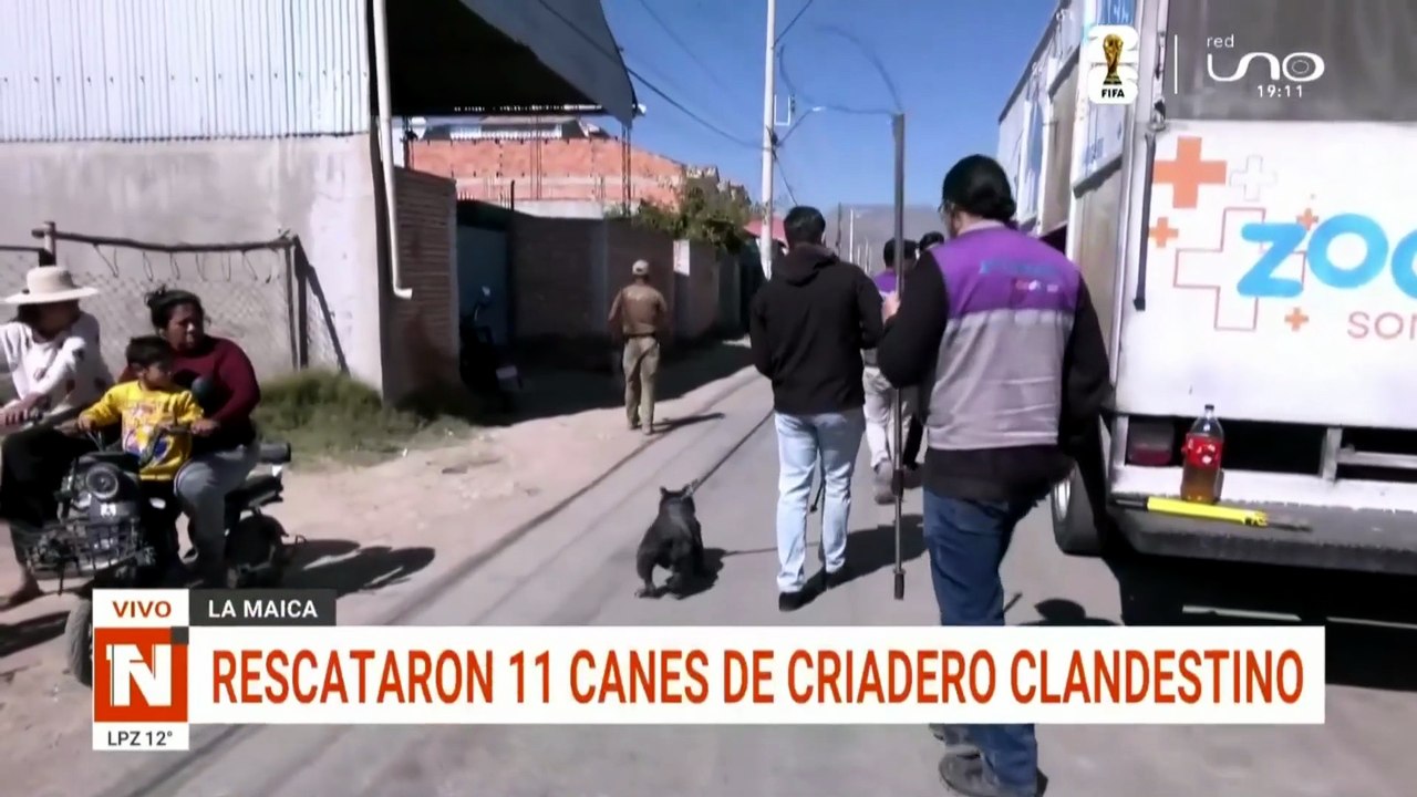 PERROS LA MAICA CBBA