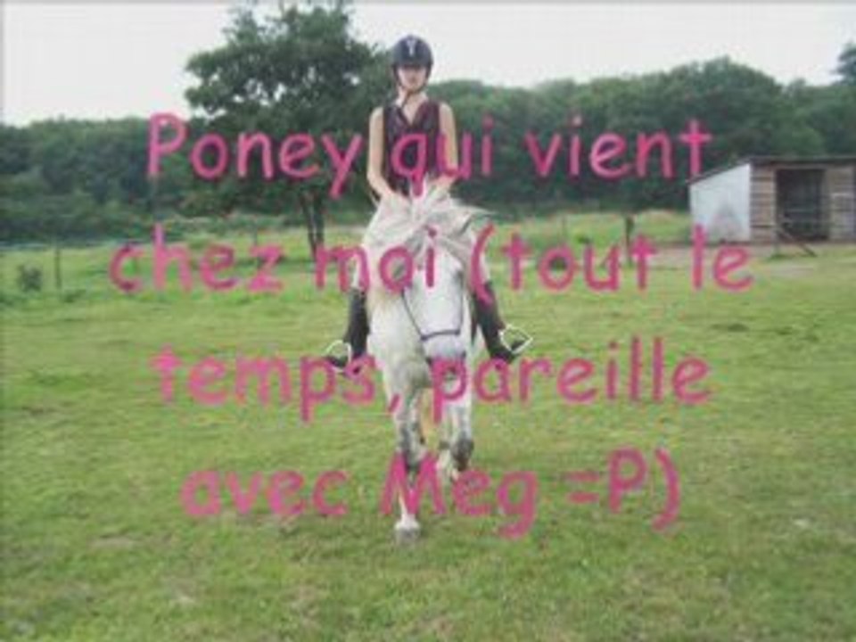 Saut milka