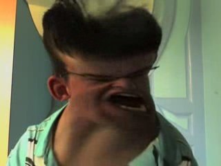 gogol des champignons