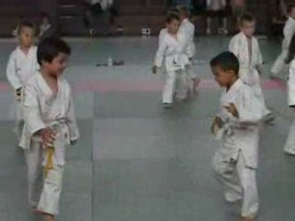 Judo 2008