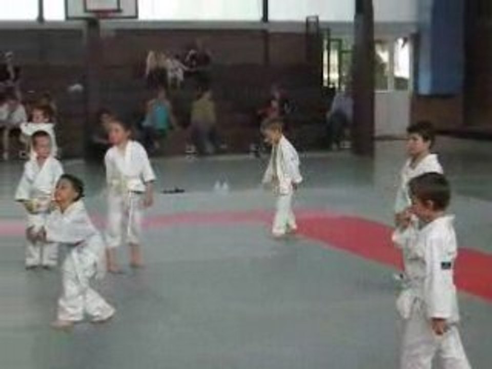 judo 2 2008