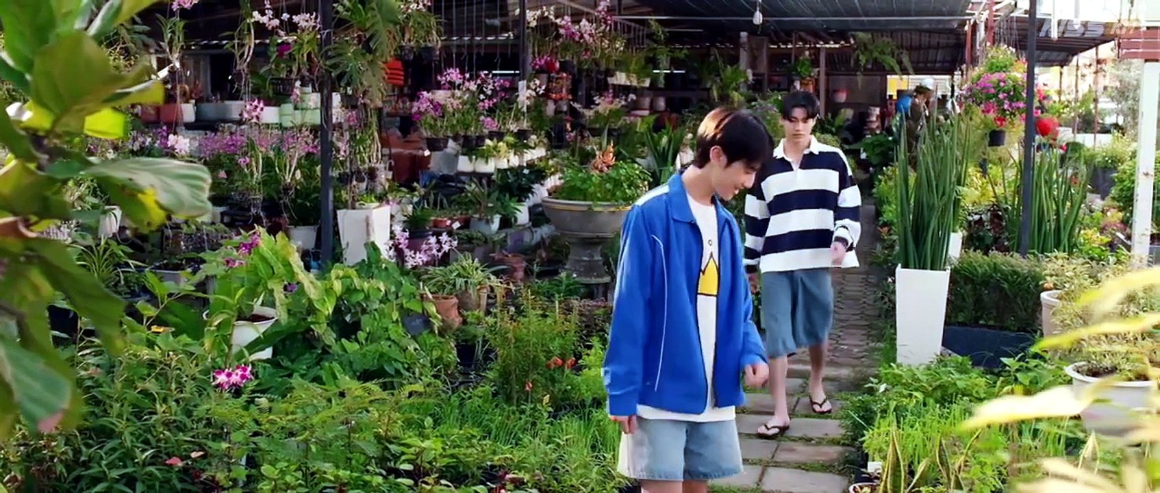 When Oranges Fall (2026) - Episode 5 Eng Sub