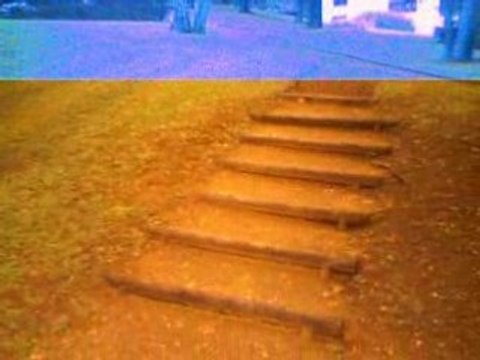 LamaV4 + Flycamone V2