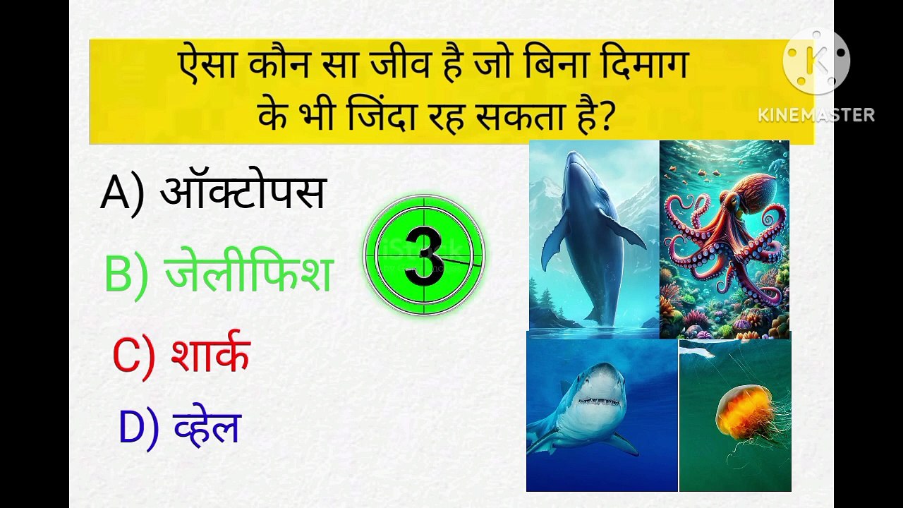 🔥 10 यूनिक GK सवाल _ 99% लोग फेल 😱 _ GK Quiz Challenge _ General Knowledge 2026