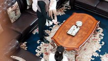 (吹き替え) 石油王令嬢 優雅なる実家教育