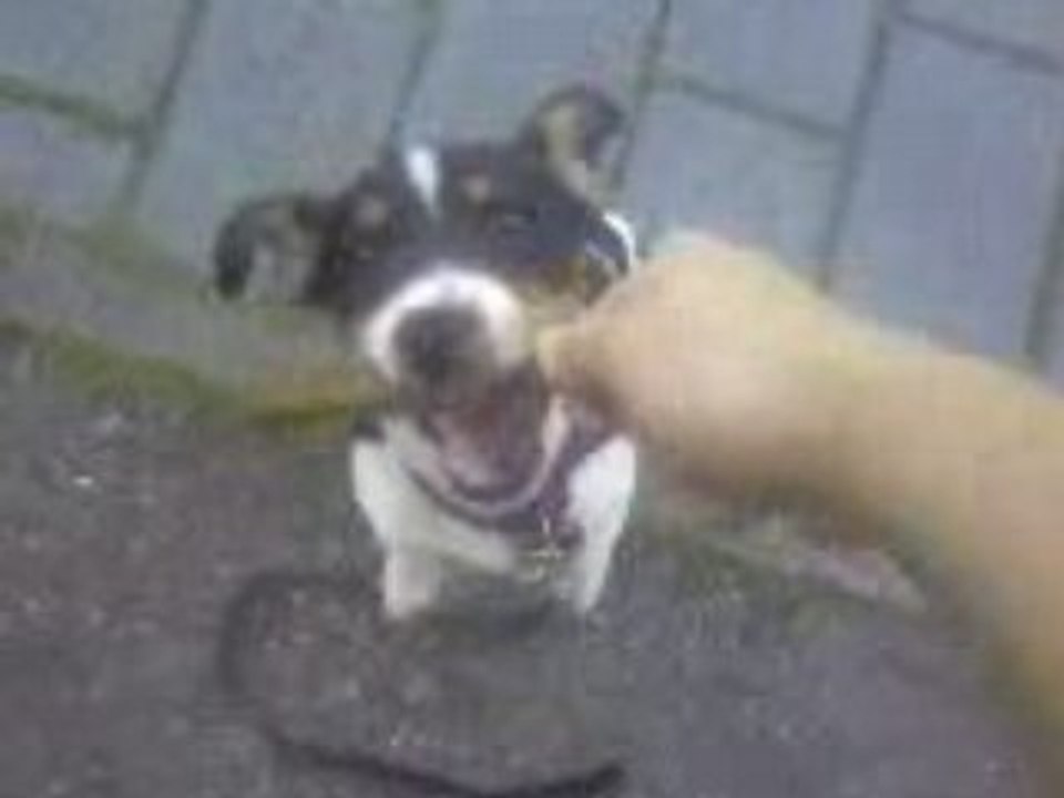 Vidéo0010 baton