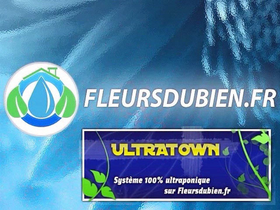 Mise en route de l'ultratown - Système ultraponique