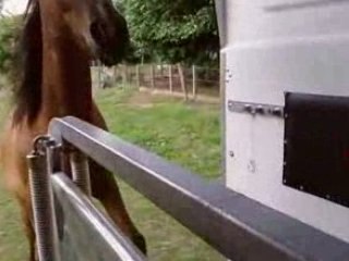 Razak monte dans le van