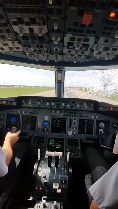 “Daytime Cockpit Emergency Landing   Violent Runway Impact Caught Live” #CockpitView #EmergencyLanding #AviationReality #RunwayImpact #RealFlight