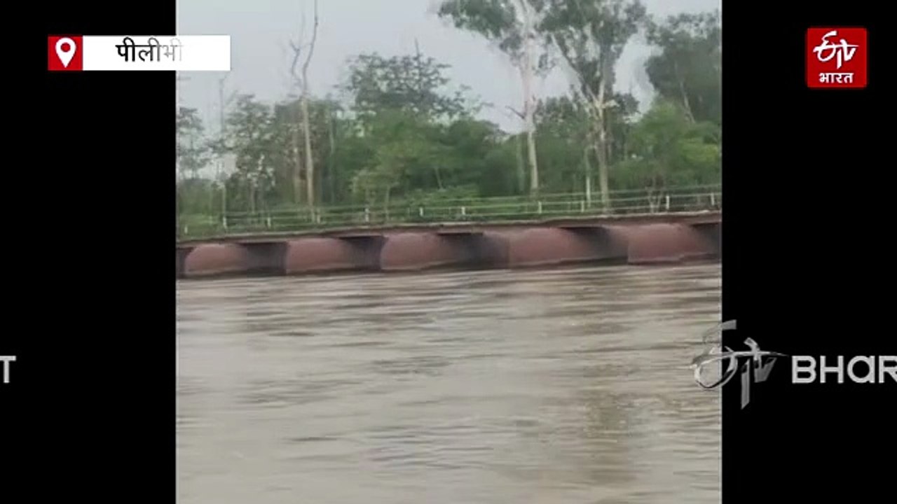 पीलीभीत में उफनाई शारदा, 2 दिन पहले बंद हुआ पैंटून पुल; दो दर्जन गांवों का संपर्क टूटा