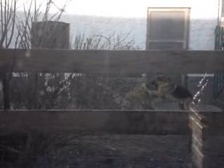 Mariage Doudoune - amée - 21 06 08 021