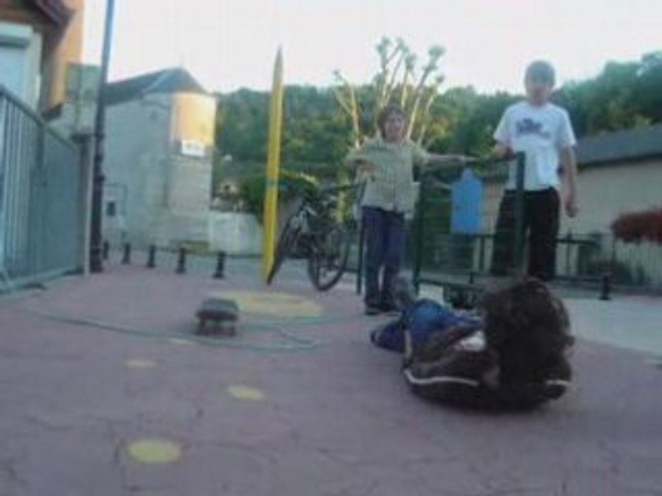 Skate plombières les dijon