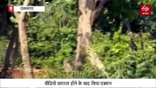 सैलानियों को टाइगर की मांद में ले गया जिप्सी चालक, बीजेपी नेता के वीडियो साझा करने के बाद हुई कार्रवाई