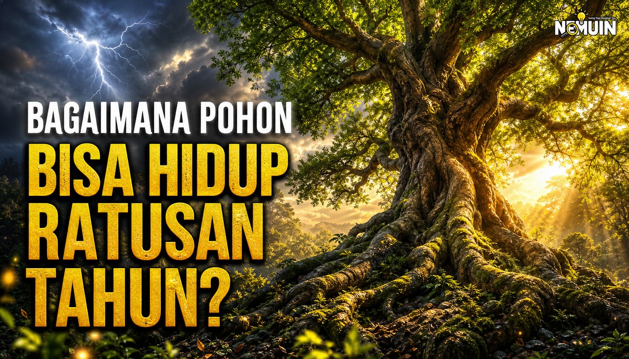 Fenomena Pohon yang Mampu Bertahan Hidup Selama Ribuan Tahun di Bumi
