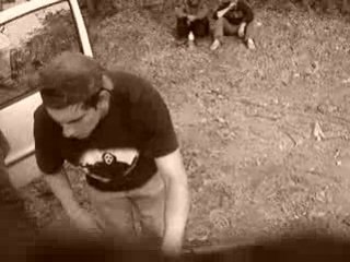 Boeuf-x  in hpf-deg1 party