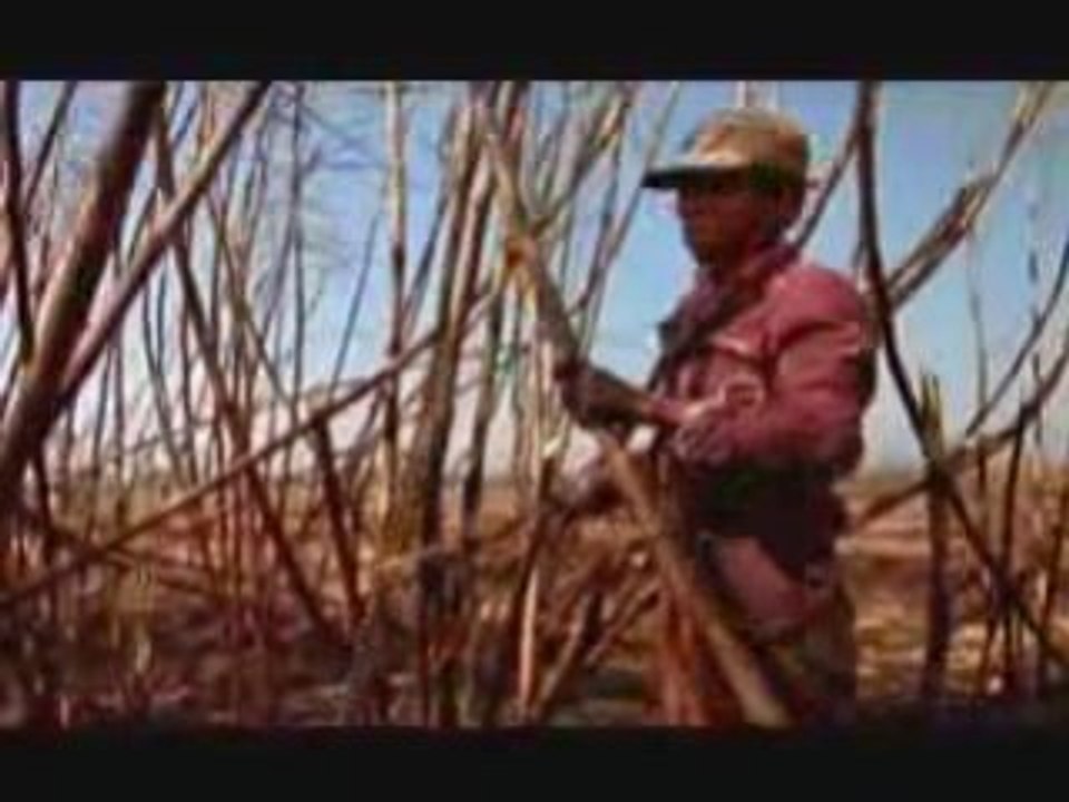 QUAUHTLEMALLAN, cinco siglos igual...