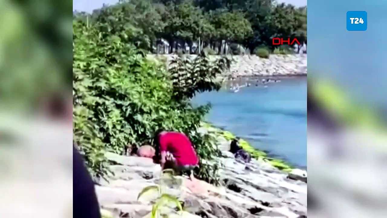 Avcılar Sahili'nde köpeğe şiddet uygulayan şüpheli gözaltına alındı