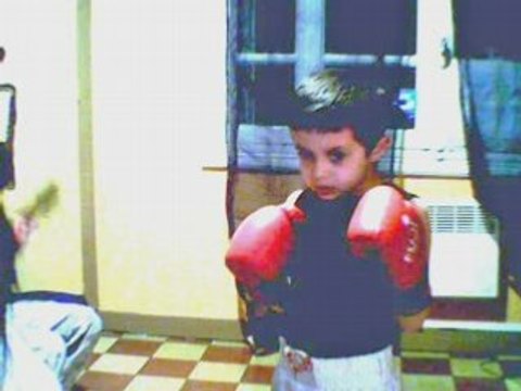 mon petiti boxeur antonio